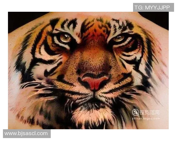 足球明星背部纹身老虎寓意深刻展现个性与力量的独特魅力 足球明星背部纹身老虎寓意深刻展现个性与力量的独特魅力